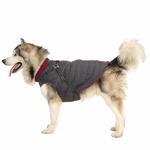 HERCULES - 2 IN 1 DOG JKT WITH HARNESS