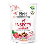 Brit Care Dog Crunchy Cracker. Insects with Lamb enriched with Raspberries 200g