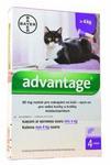 Advantage 80 10% pro kočky nad 4kg 0,8ml