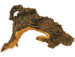 Dekorace HOBBY DOHSE Tropical wood L 33 cm