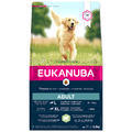 EUKANUBA Adult Large Breed Lamb & Rice - 1/3