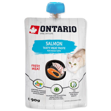 ONTARIO Salmon Fresh Meat Paste 90g - 1