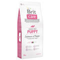 Granule BRIT Care Grain-Free Puppy Salmon & Potato - 1/4