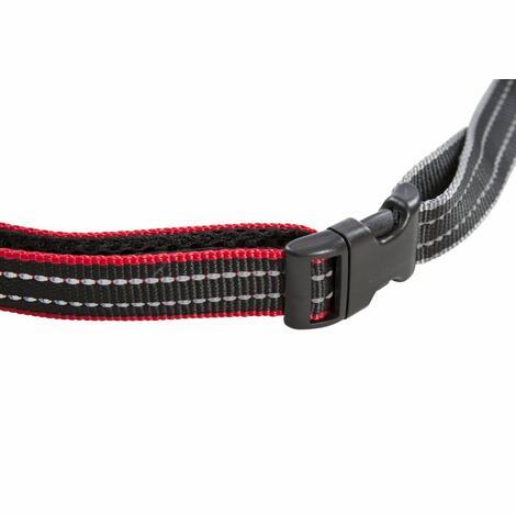 CHESTER - DOG RUNNING BELT AND LEASH - 2