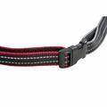 CHESTER - DOG RUNNING BELT AND LEASH - 2/7