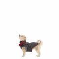 HERCULES - 2 IN 1 DOG JKT WITH HARNESS - 3/7