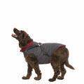 HERCULES - 2 IN 1 DOG JKT WITH HARNESS - 6/7
